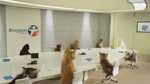 Meeting, meeting, meeting